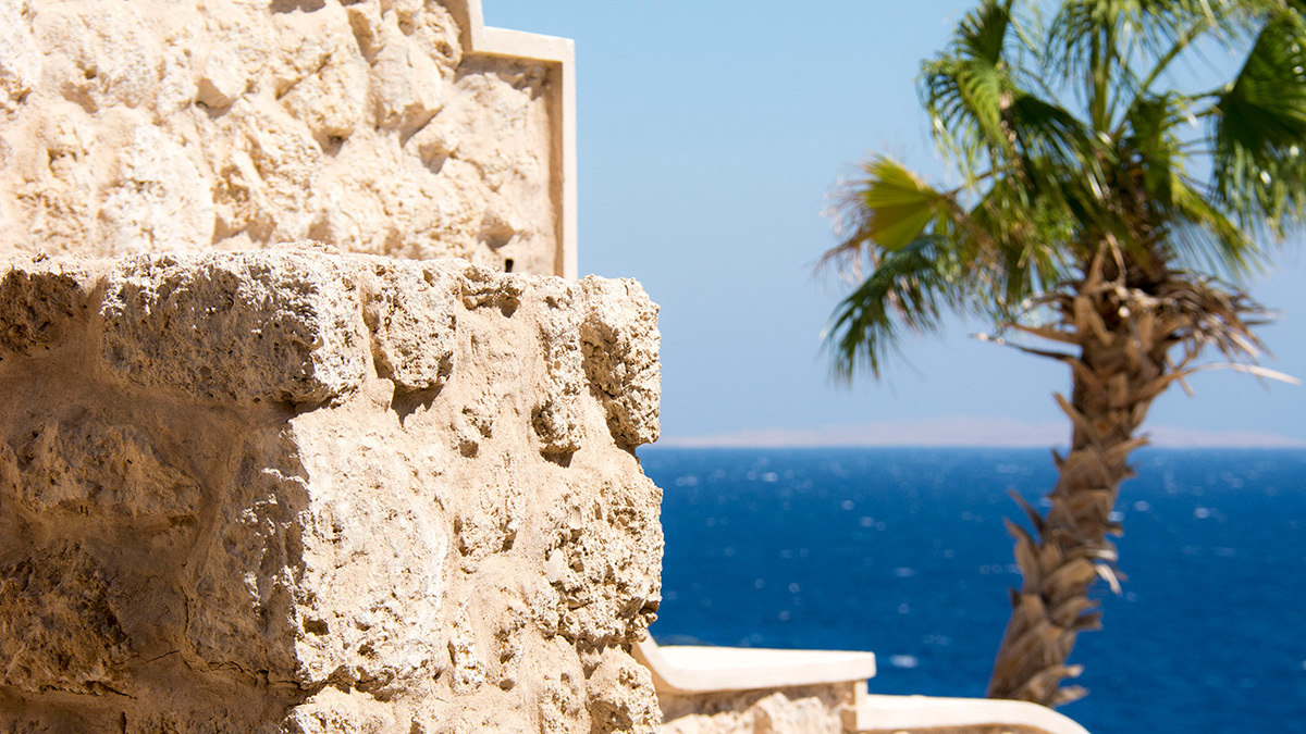 Допуск к полетам на курорты Египта из 39 городов России, в том числе из Москвы, Екатеринбурга и Казани, уже запросили и другие авиакомпании