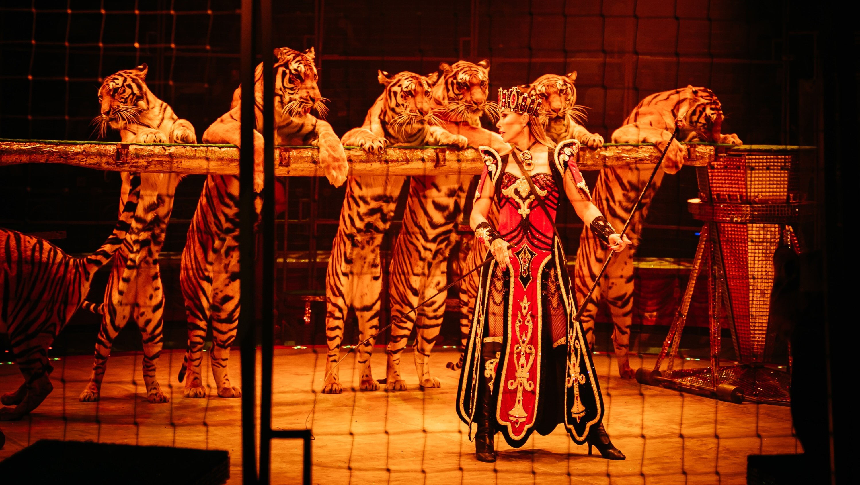 Продюсерский центр «Королевский цирк Гии Эрадзе»