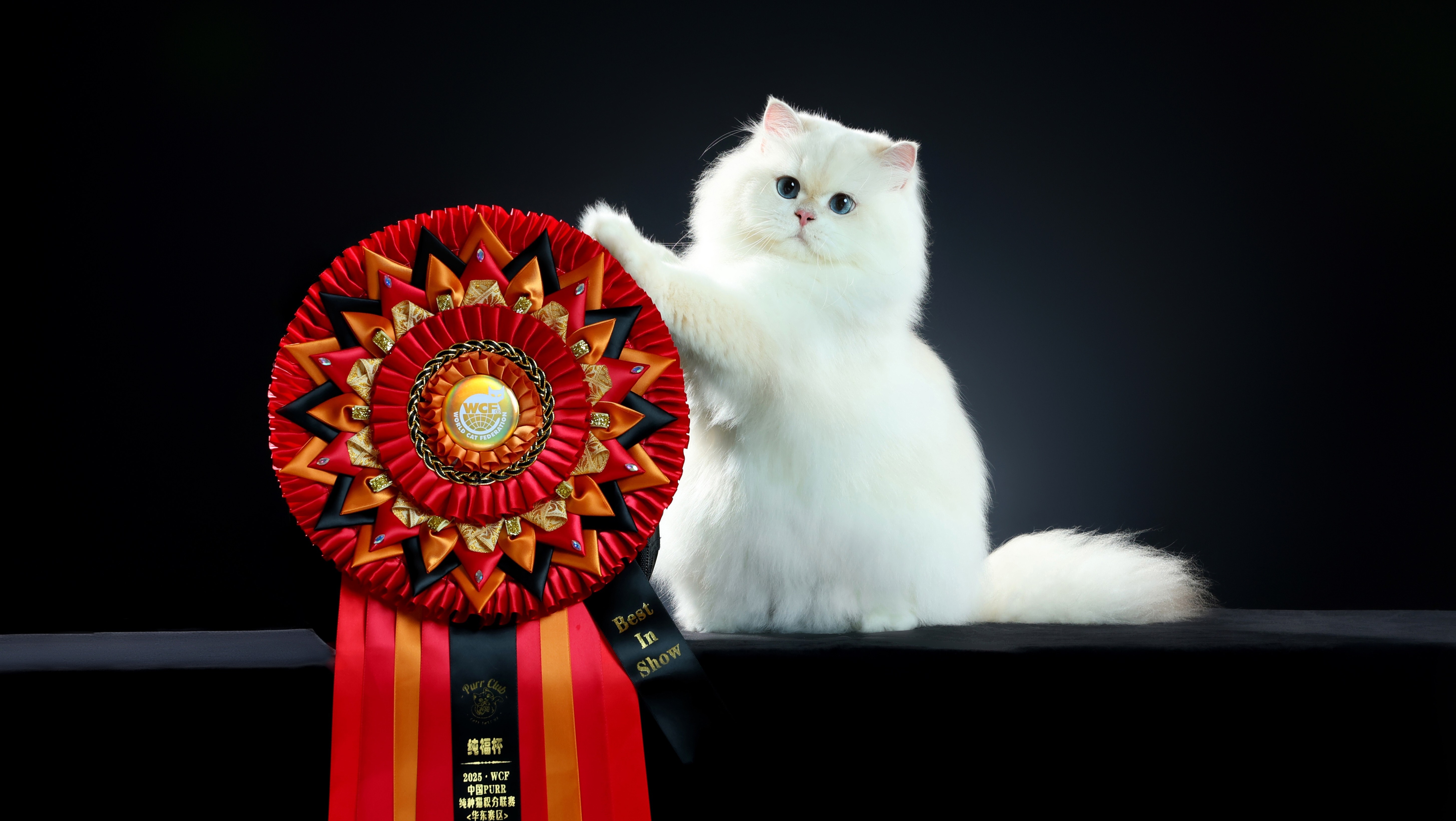 Дарлен Флер Далмор Блэк