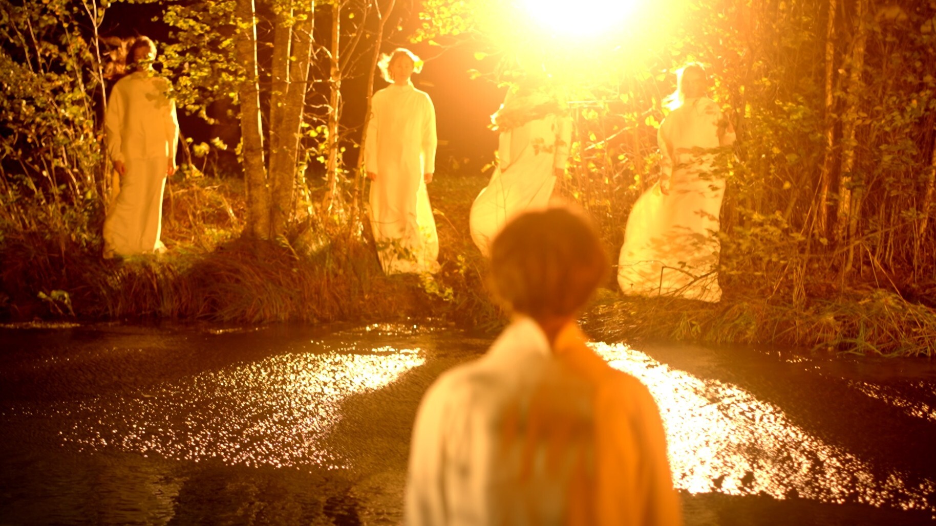 «Петербургские сонеты Вильяма Шекспира»