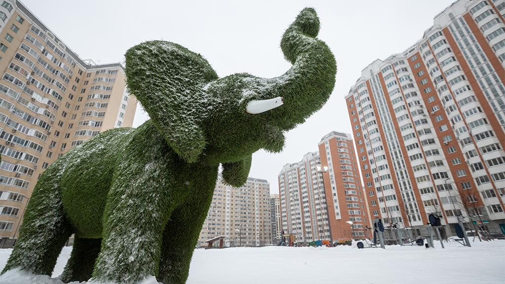 Евгений Разумный / Ведомости