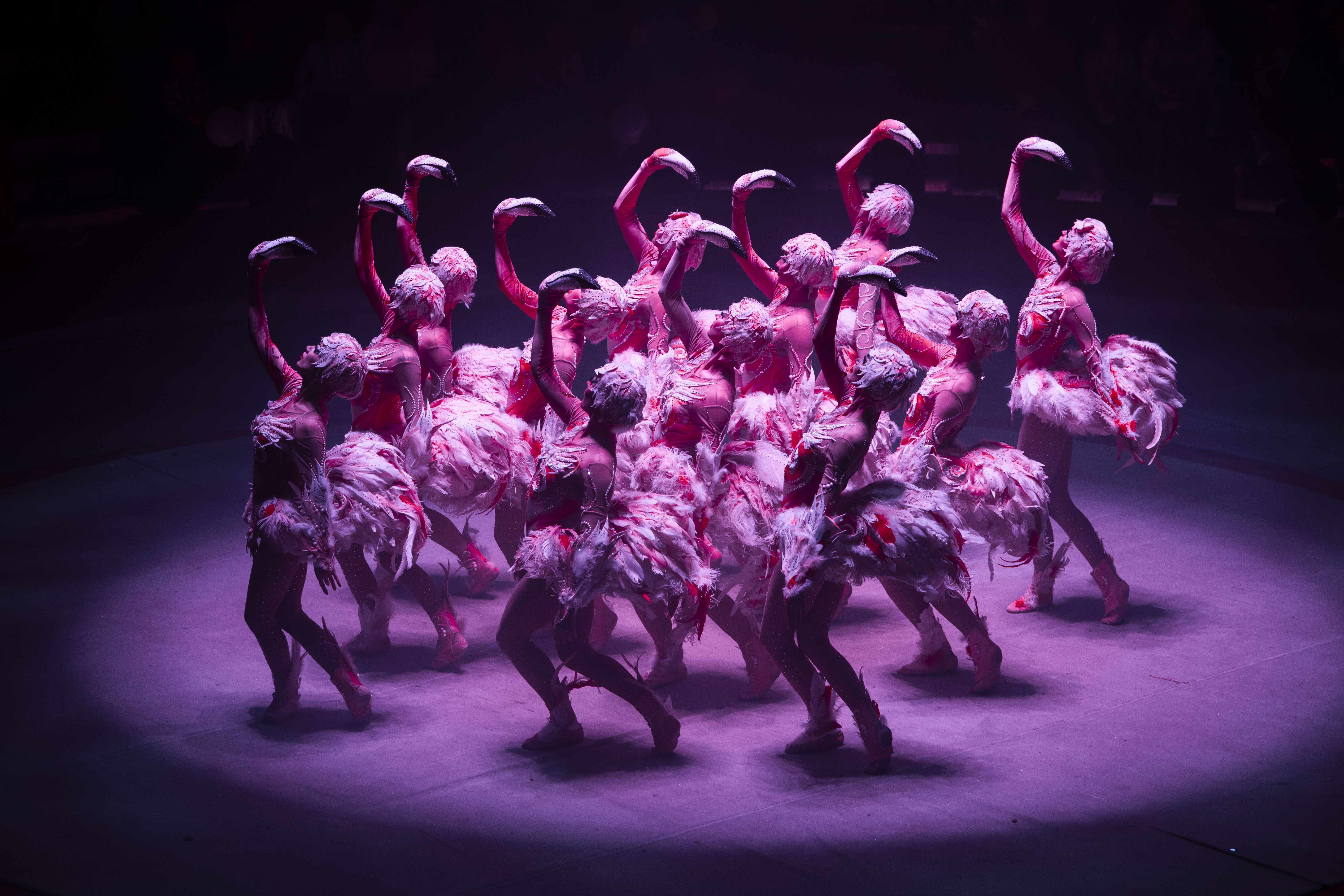 «Королевский цирк»