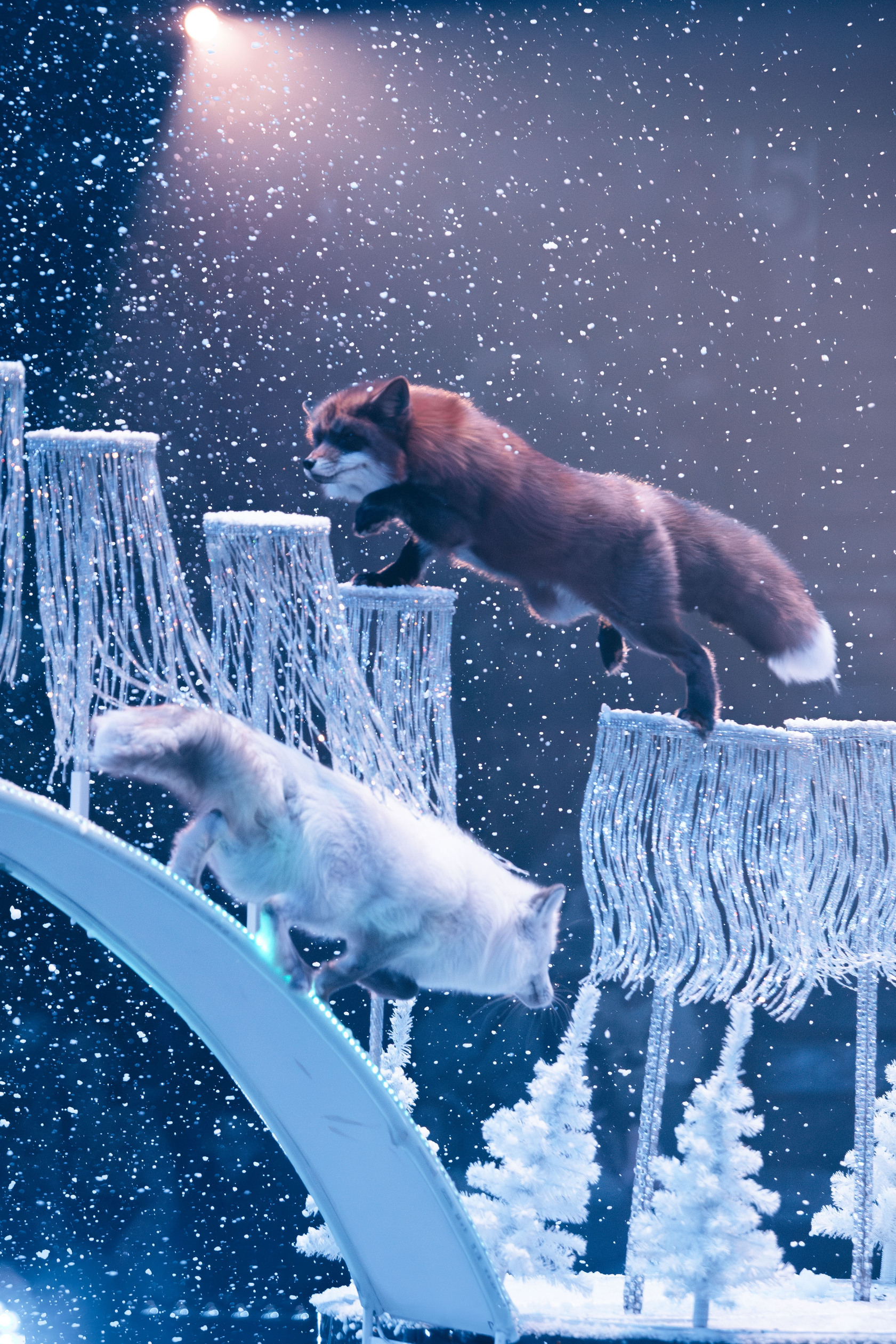 «Королевский цирк»